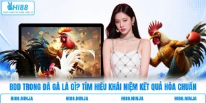 BDD Trong Đá Gà Là Gì? Tìm Hiểu Khái Niệm Kết Quả Hòa Chuẩn