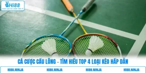 Cá Cược Cầu Lông - Tìm Hiểu Top 4 Loại Kèo Hấp Dẫn