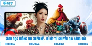 Cách Đọc Thông Tin Chiến Kê - Bí Kíp Từ Chuyên Gia Hàng Đầu