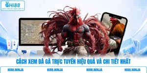 Cách Xem Đá Gà Trực Tuyến Hiệu Quả Và Chi Tiết Nhất