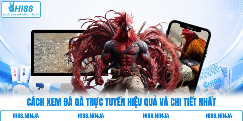 Cách Xem Đá Gà Trực Tuyến Hiệu Quả Và Chi Tiết Nhất