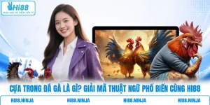 Cựa Trong Đá Gà Là Gì? Giải Mã Thuật Ngữ Phổ Biến Cùng HI88