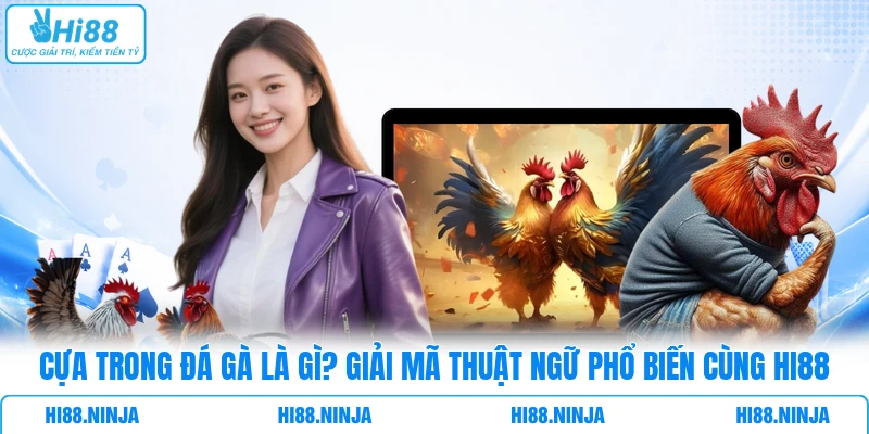 Cựa Trong Đá Gà Là Gì? Giải Mã Thuật Ngữ Phổ Biến Cùng HI88