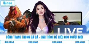 Đồng Trạng Trong Đá Gà - Giải Thích Dễ Hiểu Cho Người Mới