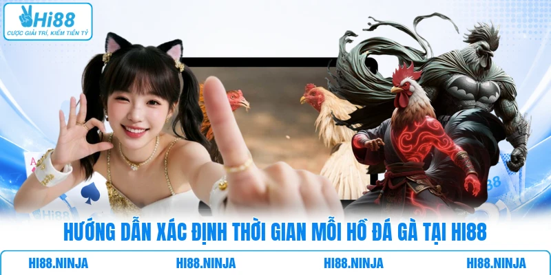 Hướng dẫn xác định thời gian mỗi hồ đá gà  tại Hi88