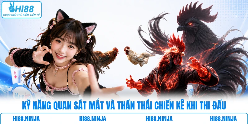 Kỹ năng quan sát mắt và thần thái chiến kê khi thi đấu