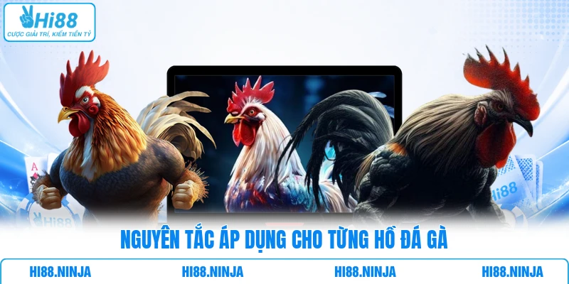 Nguyên tắc áp dụng cho từng hồ đá gà 