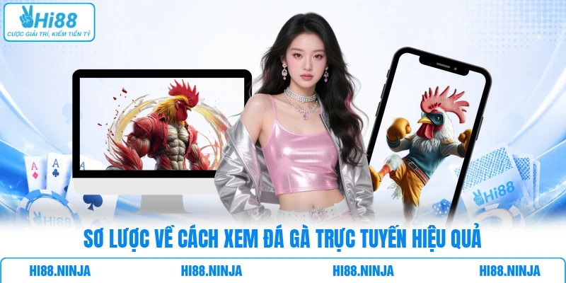 Sơ lược về cách xem Đá Gà trực tuyến hiệu quả