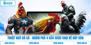 Thuật Ngữ Đá Gà - Khám Phá 4 Cửa Cược Chọi Kê Hấp Dẫn