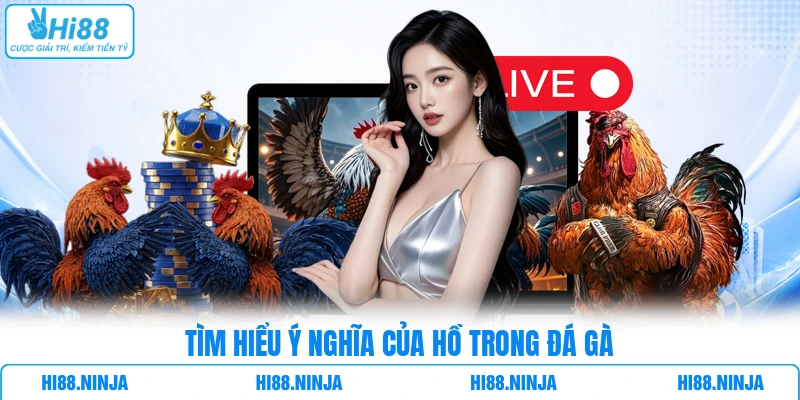 Tìm hiểu ý nghĩa của hồ trong đá gà