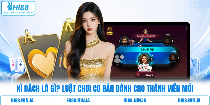 Xì Dách Là Gì? Luật Chơi Cơ Bản Dành Cho Thành Viên Mới