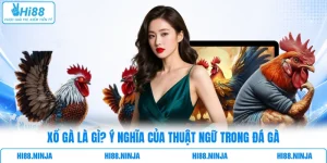 Xổ Gà Là Gì? Ý Nghĩa Của Thuật Ngữ Trong Đá Gà